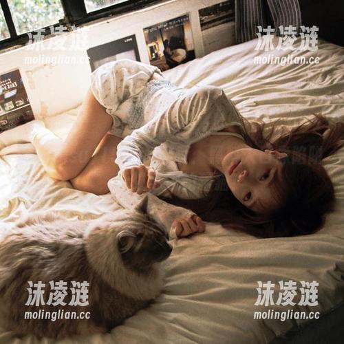 155.su网页：黑料入口像陷阱，无处可逃的猫猫！