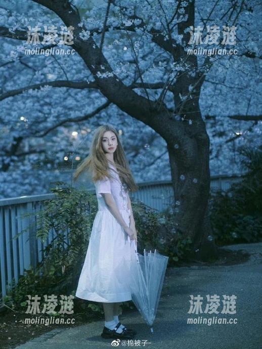 通过黑料不打烊的传送门，永不迷路地迎接八卦潮流！