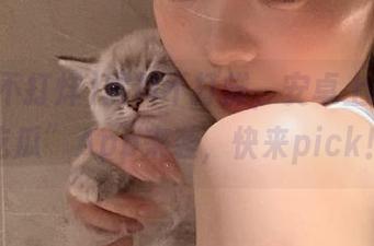 黑料不打烊，安卓上同款“吃瓜”App来袭，快来pick！