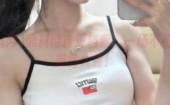 黑料网首页档案：一场不见血的揭露大会！