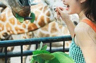 黑料网曝网址，让我在众人中沉醉，无法自拔～我还在等我的瓜！